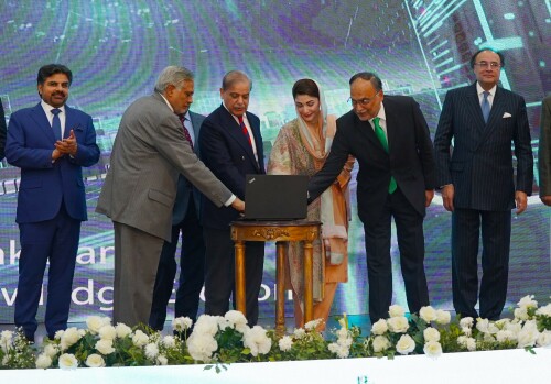 What is the National Economic Plan 2024-29 Shehbaz-led govt introduced?