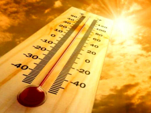 India&rsquo;s 2024 was hottest year since 1901: meteorological office