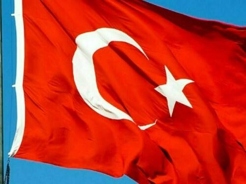 Turkiye auto sales rise 0.5% to record level in 2024, association says