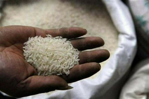 India&rsquo;s rice stocks hit record high, wheat reserves deplete