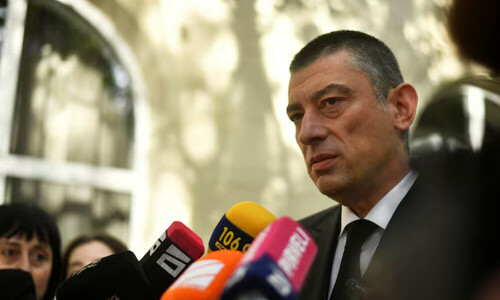 Georgian prime minister hospitalised after beating, blames government