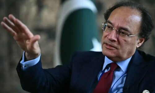 پانڈا بانڈ کے ذریعے چینی سرمایہ کاروں سے 200 ملین ڈالر اکٹھے کرینگے، وزیر خزانہ