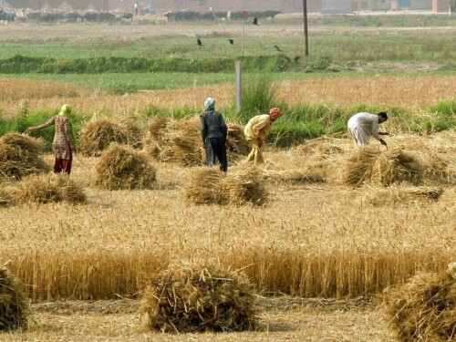 فصلوں کے خطرات کو کم کرنا &ndash; تحقیق پر مبنی فیصلے ناگزیر