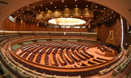NA committee passes Digital Nation Pakistan Bill 2024
