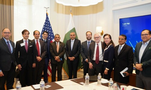 Naqvi assures resolution of US companies issues