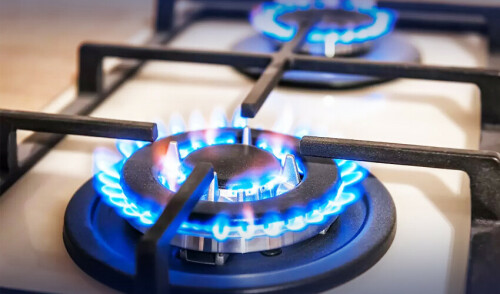 ECC approves revision to gas tariff for industry, rejects hike for domestic sector