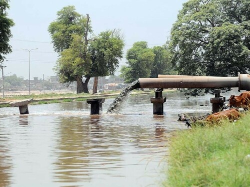 PMDFC preparing sewage system plans for 59 cities