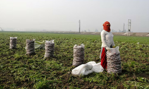 India budget opts for economic sugar rush over reform