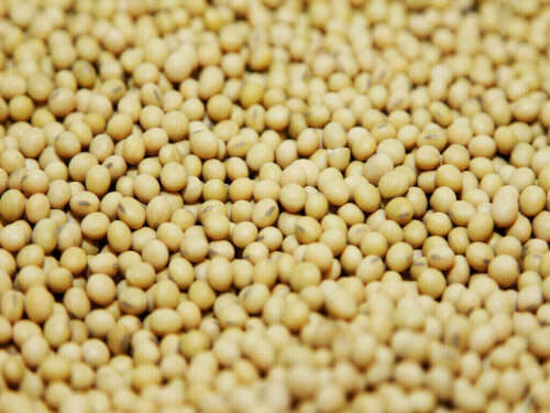 Corn drops nearly 2% on US tariffs; wheat, soybeans down