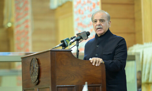 Kashmir Solidarity Day: IIOJK dispute to remain key pillar of Pakistan&rsquo;s foreign policy, says PM Shehbaz