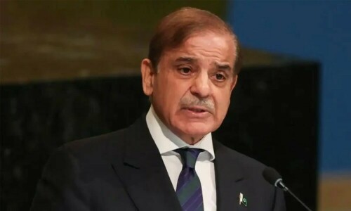 Climate change: PM demands grants for developing nations