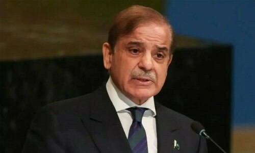 موسمیاتی تبدیلی: وزیراعظم کا ترقی پذیر ممالک کیلئے گرانٹ کا مطالبہ