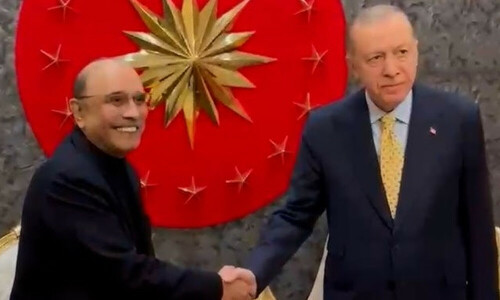 Zardari, Erdogan discuss mutual ties