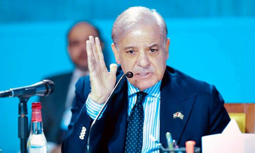 Climate financing increase exhorted: PM urges investors to tap green energy openings