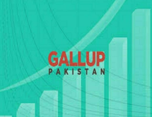 کاروباری اعتماد میں اضافہ، لیکن خدشات برقرار ہیں، گیلپ