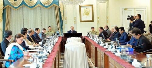PM Shehbaz pledges $5 billion trade boost with T&uuml;rkiye