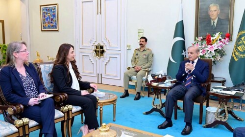 US charg&eacute; d&rsquo; affaires vows support to Pakistan