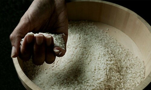 CCP approves acquisition of Engro Eximp Agriproducts by MAP Rice Mills