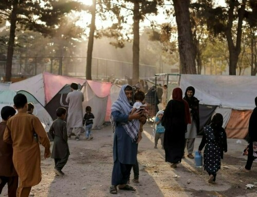 Afghanistan alleges Pakistan carrying out mass expulsion of refugees