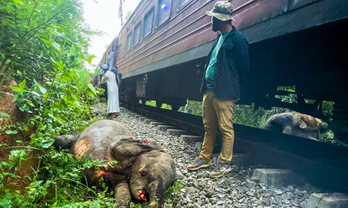 Sri Lanka train derailed after smashing into elephants