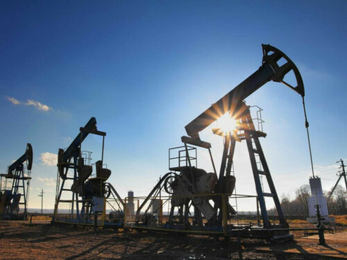 Oil little changed after US crude inventory build