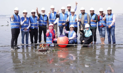 PTCL brings Africa-1 submarine cable to Pakistan