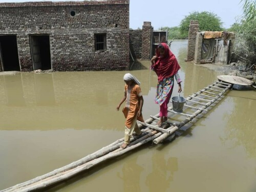 Injustices against women in Sindh Speakers advocate strict implementation of laws