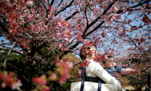 Japan&rsquo;s births fell to record low in 2024