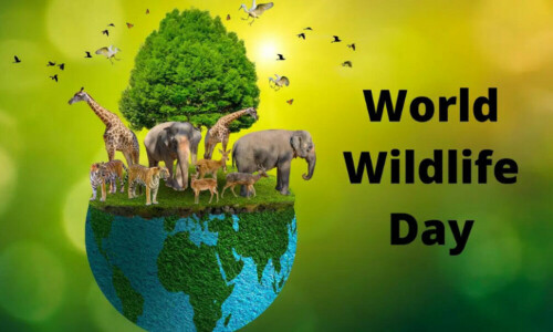 World Wildlife Day marked: PM urges masses to play due role in safeguarding remarkable wildlife