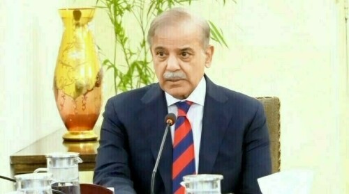 نازک معیشت محض ایک سال میں مستحکم ہوچکی ہے، وزیراعظم نے حکومتی کارکردگی پیش کردی