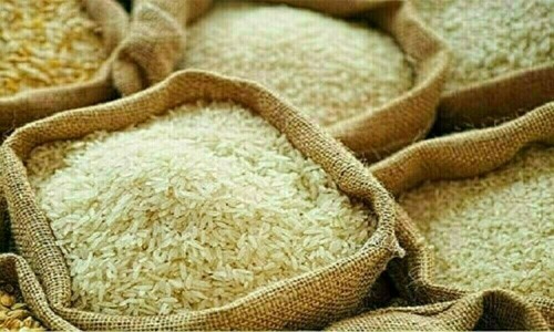 Ban on early sowing of rice: Agriculture Republic highlights loopholes in seed companies&rsquo; role