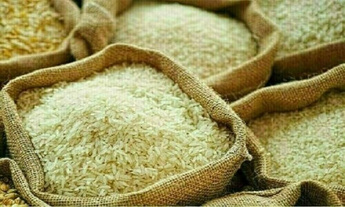 Vietnam tells trade ministry to boost rice exports to counter oversupply
