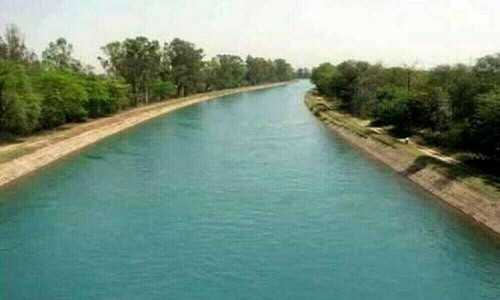محفوظ شہید کینال: سرسبز پاکستان کی جانب ایک قدم