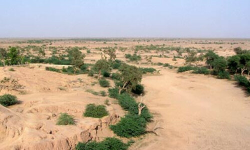 Developing Cholistan