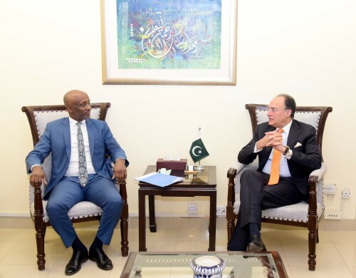 Aurangzeb, UN officials discuss debt management, climate financing