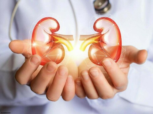 World Kidney Day: Speakers highlight need for awareness to maintain healthy kidneys