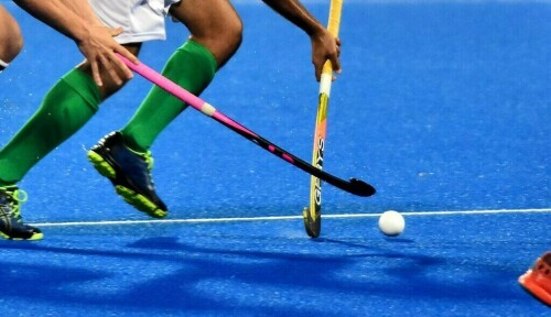 Minister announces emergency for revival, development of hockey
