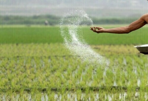 APTAC proposes ban on 12 active ingredients of pesticides