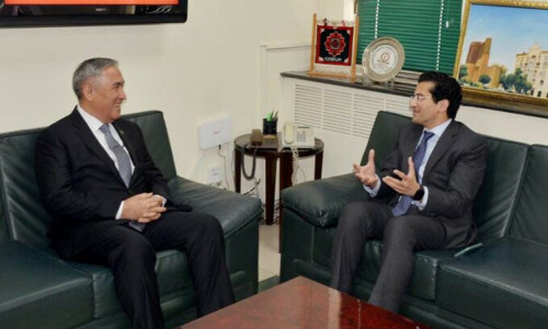 Pakistan, Turkmenistan discuss energy collaboration