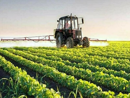 Agri scientists in Sindh develop new high-yield crop varieties