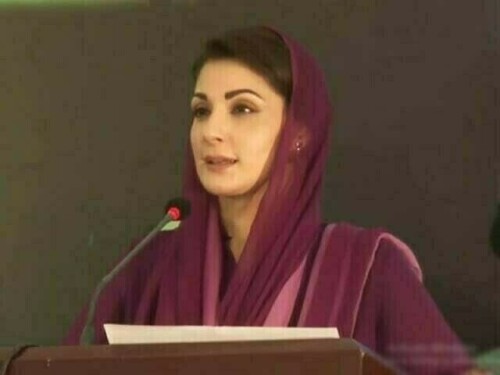 &lsquo;A healthy mother guarantees a healthy family&rsquo;, says Punjab CM