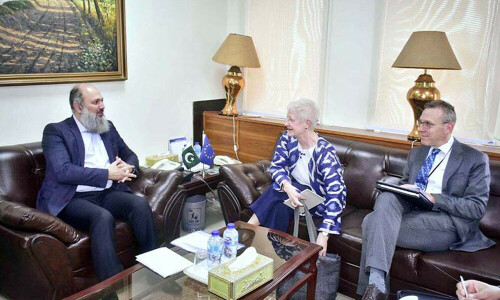 EU envoy, Jam discuss trade ties