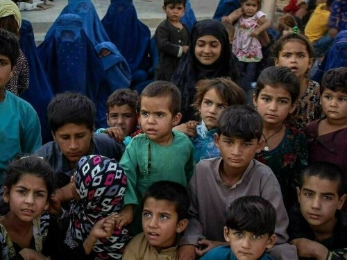 KP govt to set up more shelter homes for street children
