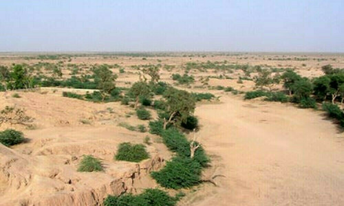چولستان منصوبہ: حل یا سراب؟