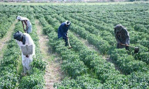 Peasant groups demand govt give state land to landless farmers