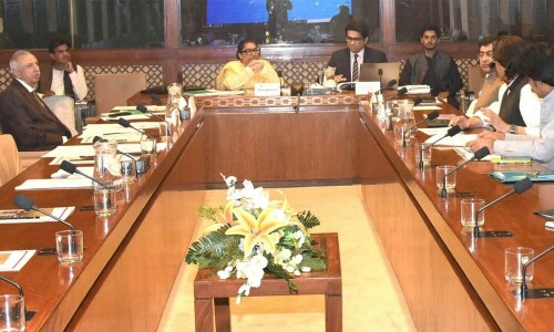 Key infrastructure projects: Azerbaijan keen to invest $2bn, Senate panel told