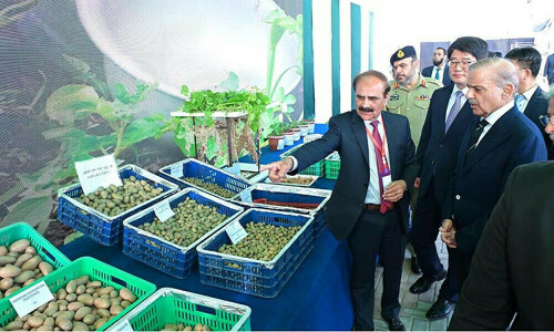 جنوبی کوریا کے تعاون سے آلو کے اعلی معیار کے بیجوں کی پیداوار کے منصوبے کا افتتاح ہوگیا
