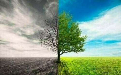 ماحولیاتی تبدیلی کا کمزور دفاع