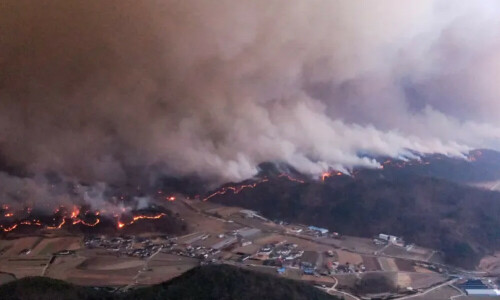 South Korea wildfires kill at least 24, pilot killed as firefighting helicopter crashes