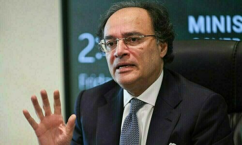 پاکستان رواں سال چین میں پہلا پانڈا بانڈ جاری کرے گا: وزیر خزانہ